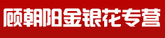 顾朝阳金银花专营
