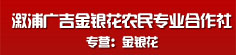 向伟广金银花专卖