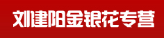刘建阳金银花专营