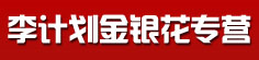 李计划金银花专营