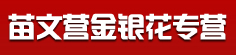 苗文营金银花专营