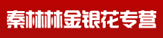 秦林林金银花专营