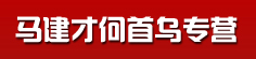 马建才何首乌专营