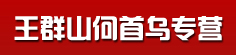 王群山何首乌专营