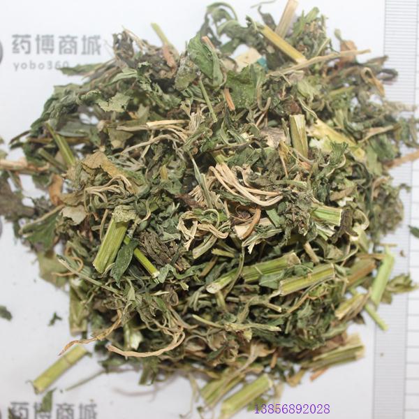 益母草