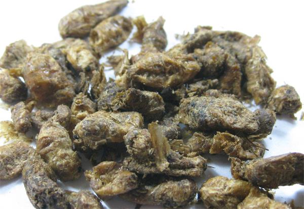 雄蚕蛾 药博商城