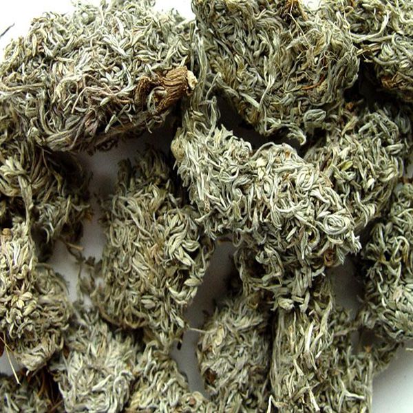 茵陈 药博商城