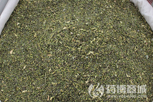 槐米 药博商城