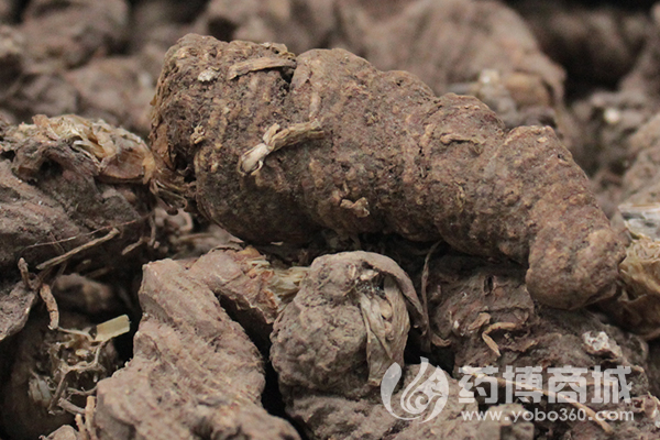 重楼 药博商城