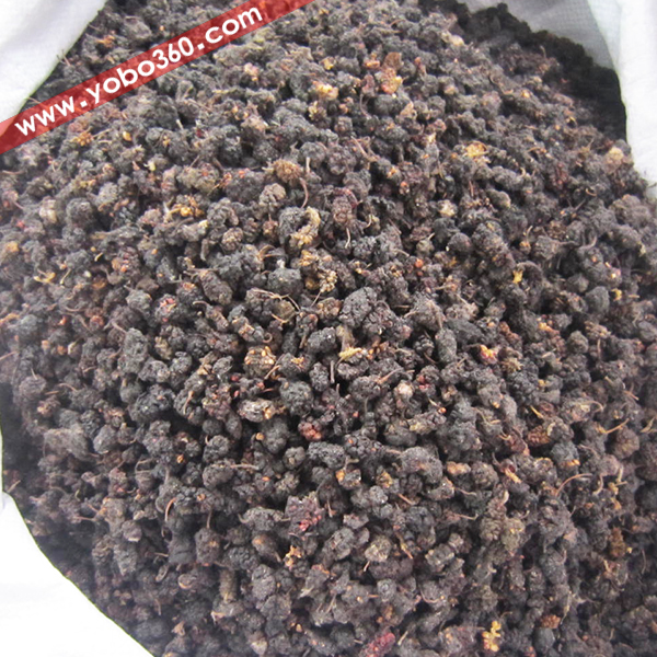 桑椹 药博商城