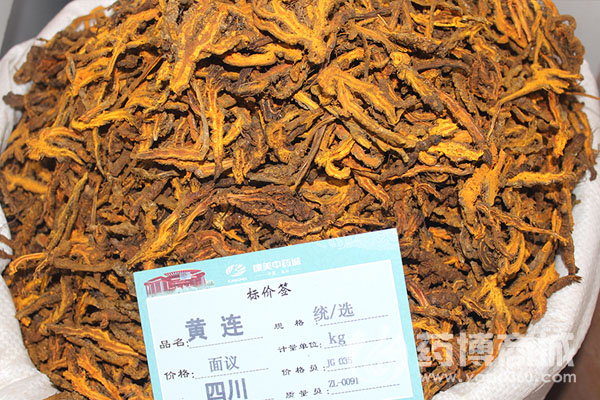 黄连 药博商城