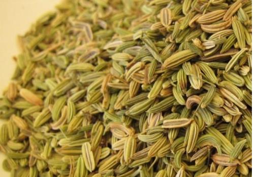 小茴香 药博商城