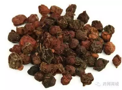 五倍子 药博商城