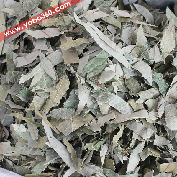 淫羊藿 药博商城