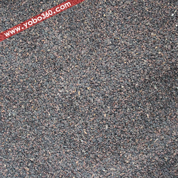 车前子 药博商城