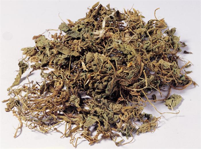 薄荷 药博商城