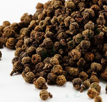 吴茱萸 药博商城