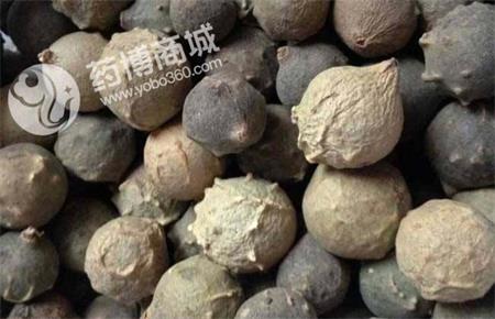 中药材没食子