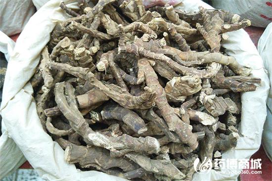 石菖蒲_中药材