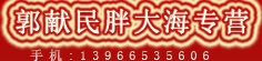 郭献民胖大海专营