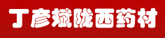 丁彦斌陇西药材