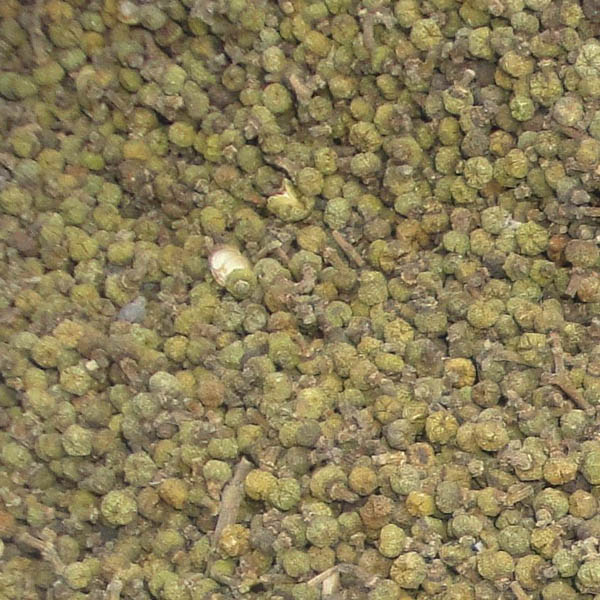 吴茱萸 大货