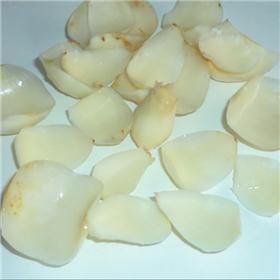 百合  原产地大货  量大从优