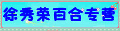 徐秀荣百合专营