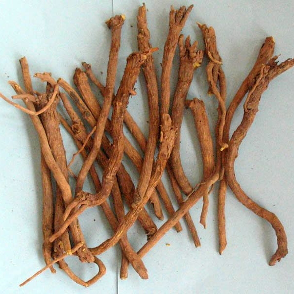 黄芩 统