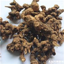 苍术 （个）