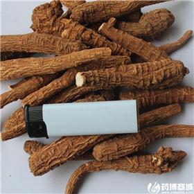 川白芷 个子