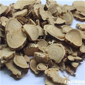 苦参 大统 片