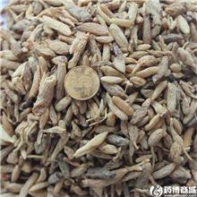麦冬 统货 