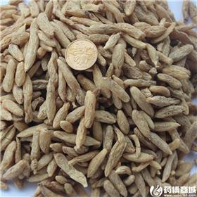 麦冬 选装