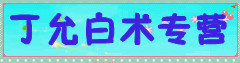 丁允白术专营
