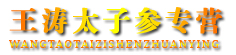 王涛太子参专营