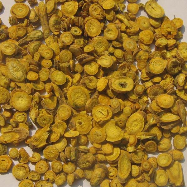 黄芩 内蒙大货