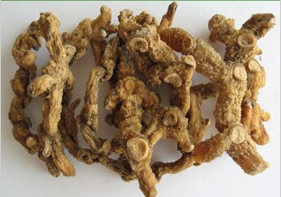 黄精  江西