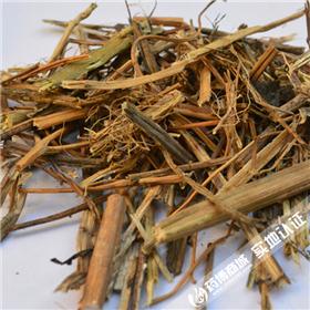 金盏银盘 常年供应（鬼针草）安徽