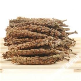 夏枯球 常年供应（河南）