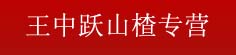 王中跃山楂专营