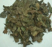霜桑叶