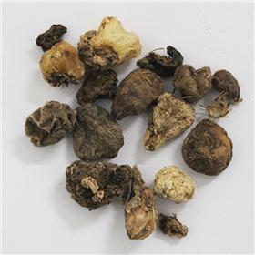 山慈菇 云南 清热解毒 消痈散结