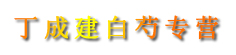 丁成建白芍专营