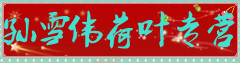 孙雪伟荷叶莲须专营
