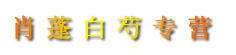 肖蓬白芍专营