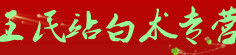 王民站白术专营