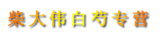 柴大伟白芍专营