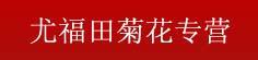 尤福田菊花专营