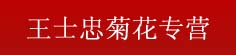 王士忠菊花专营